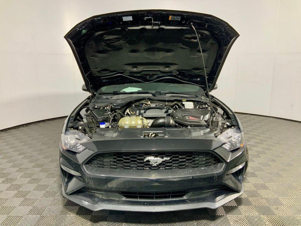 used 2021 Ford Mustang car, priced at $19,000