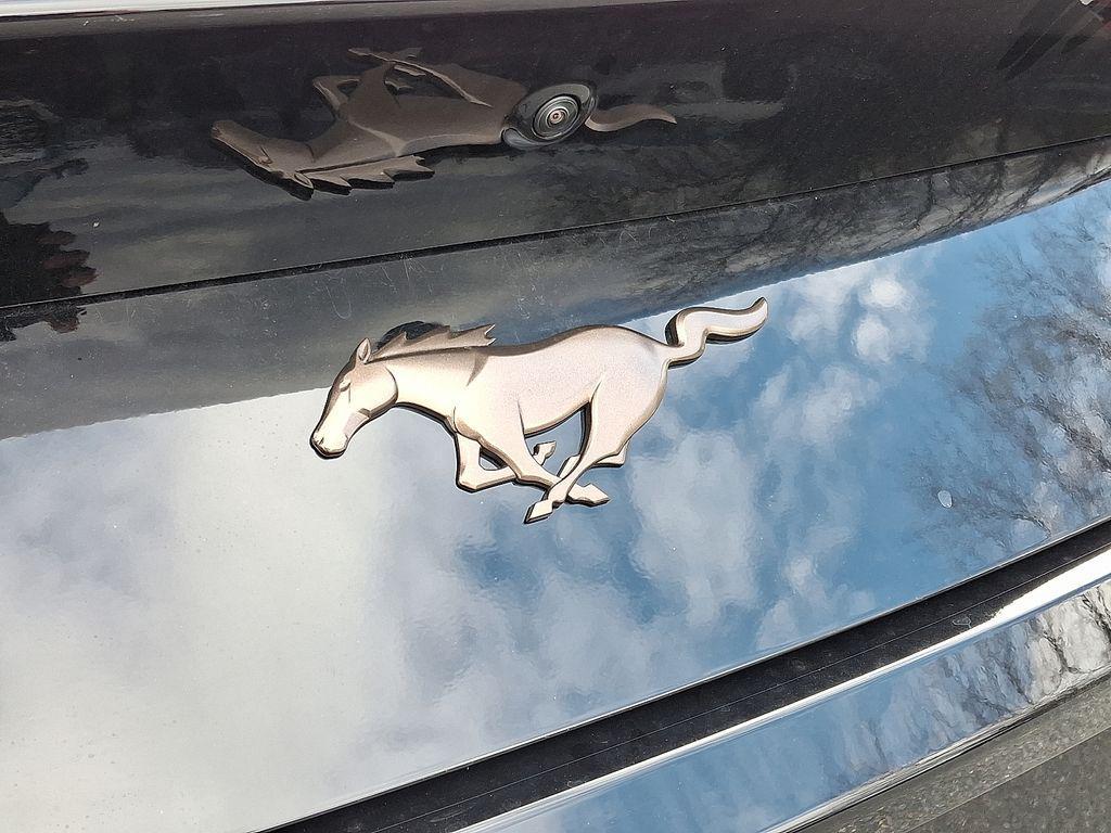 new 2026 Ford Mustang car, priced at $42,500