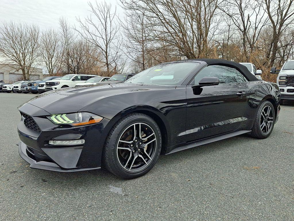 used 2020 Ford Mustang car, priced at $19,500