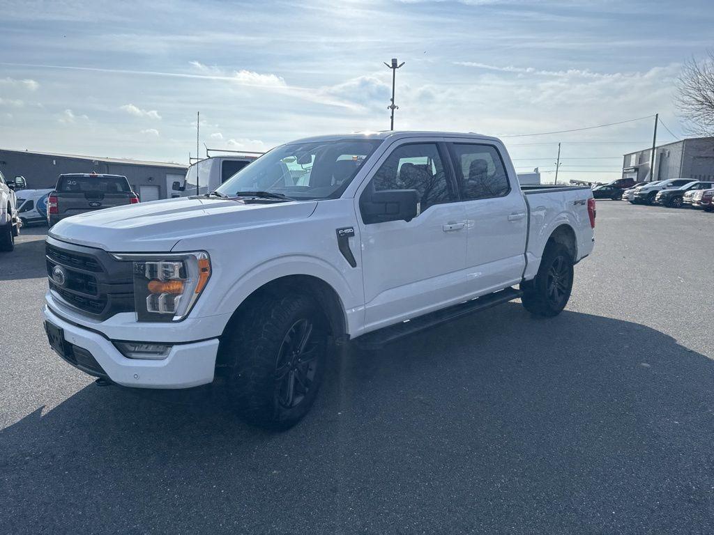 used 2023 Ford F-150 car, priced at $37,000