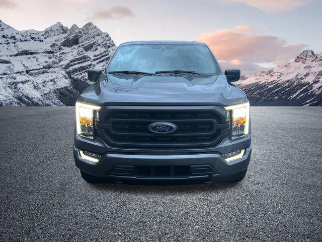 used 2023 Ford F-150 car, priced at $42,888