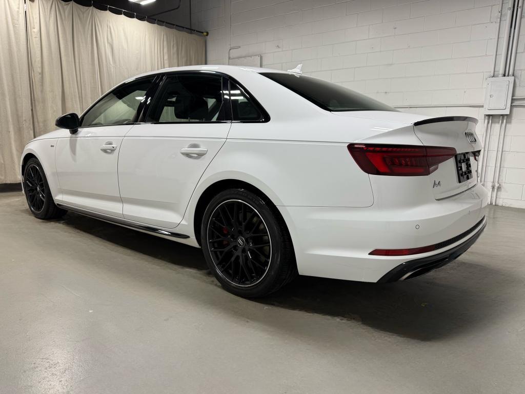 2019 Ibis White Audi A4