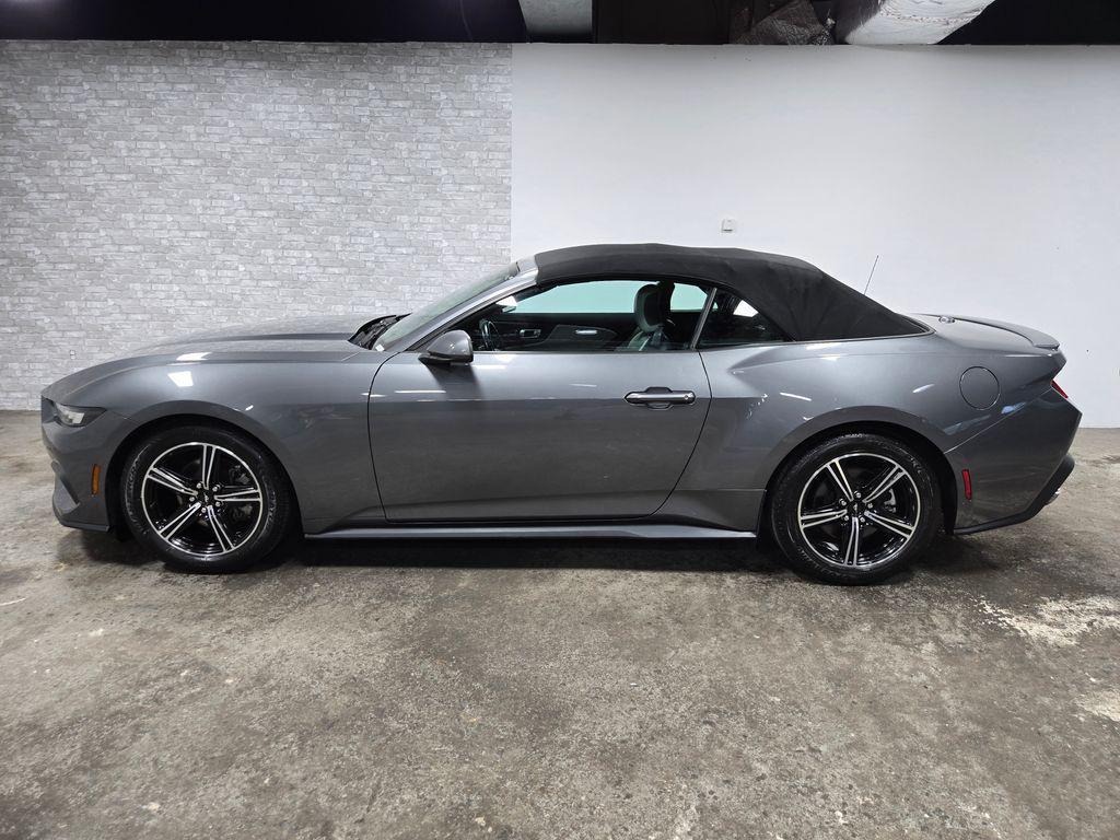used 2024 Ford Mustang car, priced at $30,299