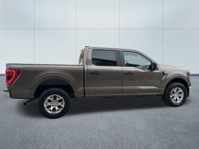 used 2023 Ford F-150 car, priced at $36,599