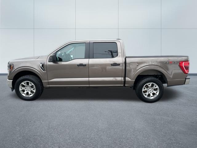 used 2023 Ford F-150 car, priced at $36,599