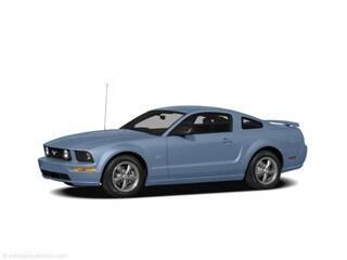 used 2008 Ford Mustang car