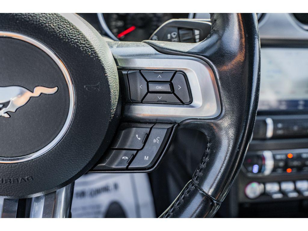 used 2023 Ford Mustang car