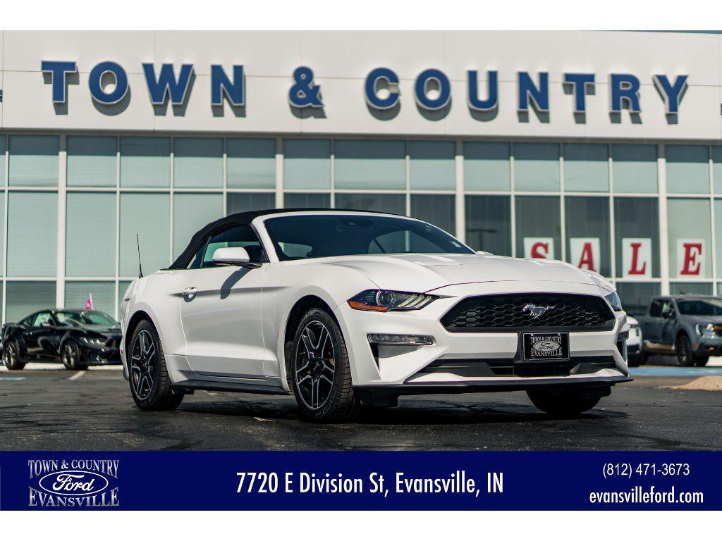 used 2023 Ford Mustang car