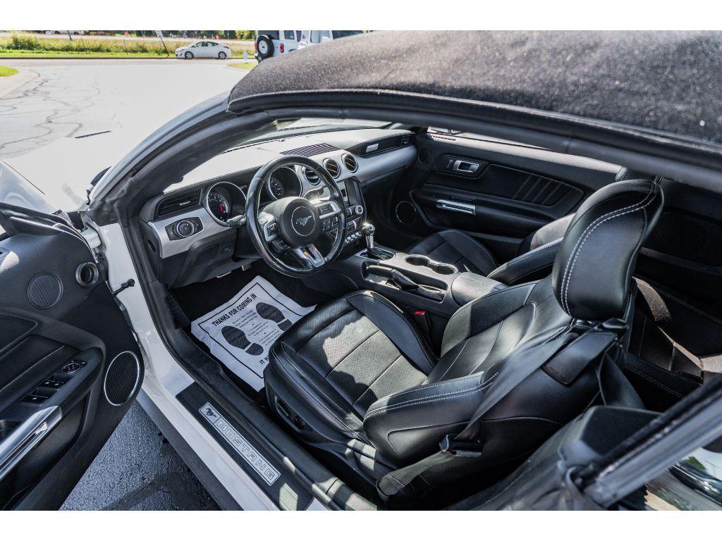 used 2023 Ford Mustang car