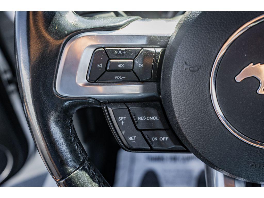 used 2023 Ford Mustang car