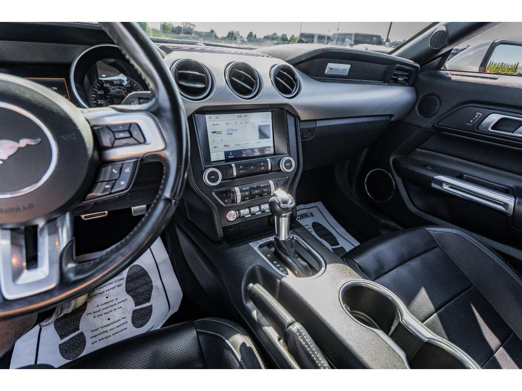 used 2023 Ford Mustang car