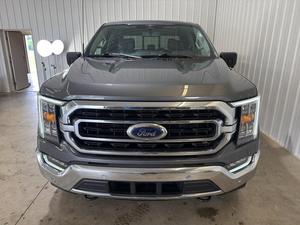 used 2023 Ford F-150 car, priced at $38,500