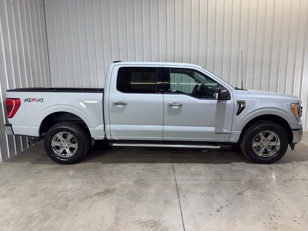 used 2023 Ford F-150 car, priced at $43,000