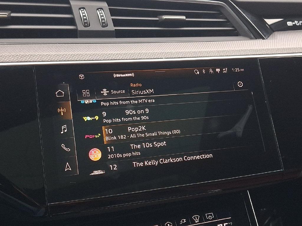 Audi e-tron view 19