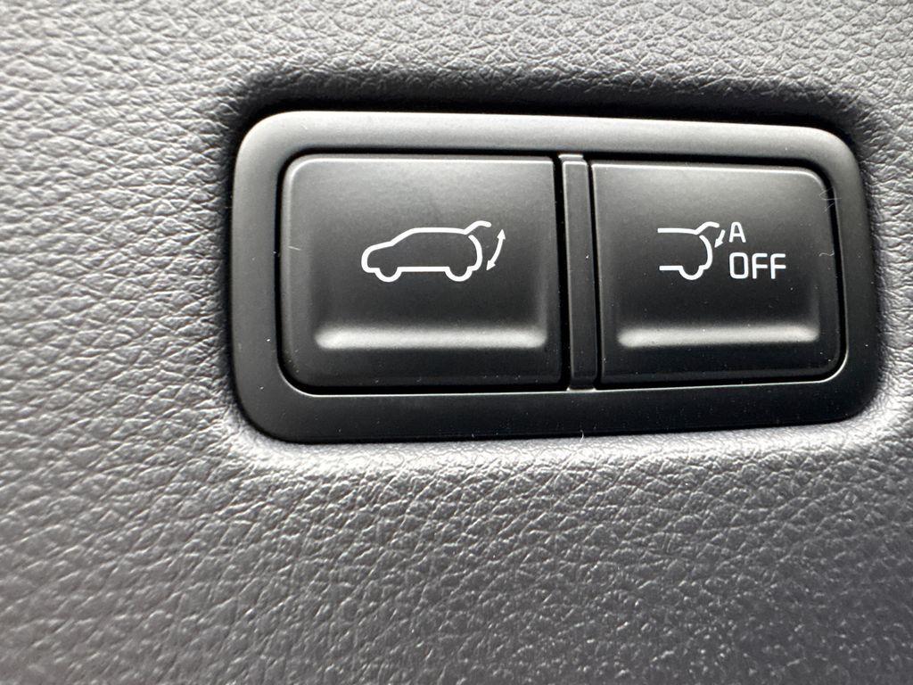 new 2026 Kia Carnival Hybrid car