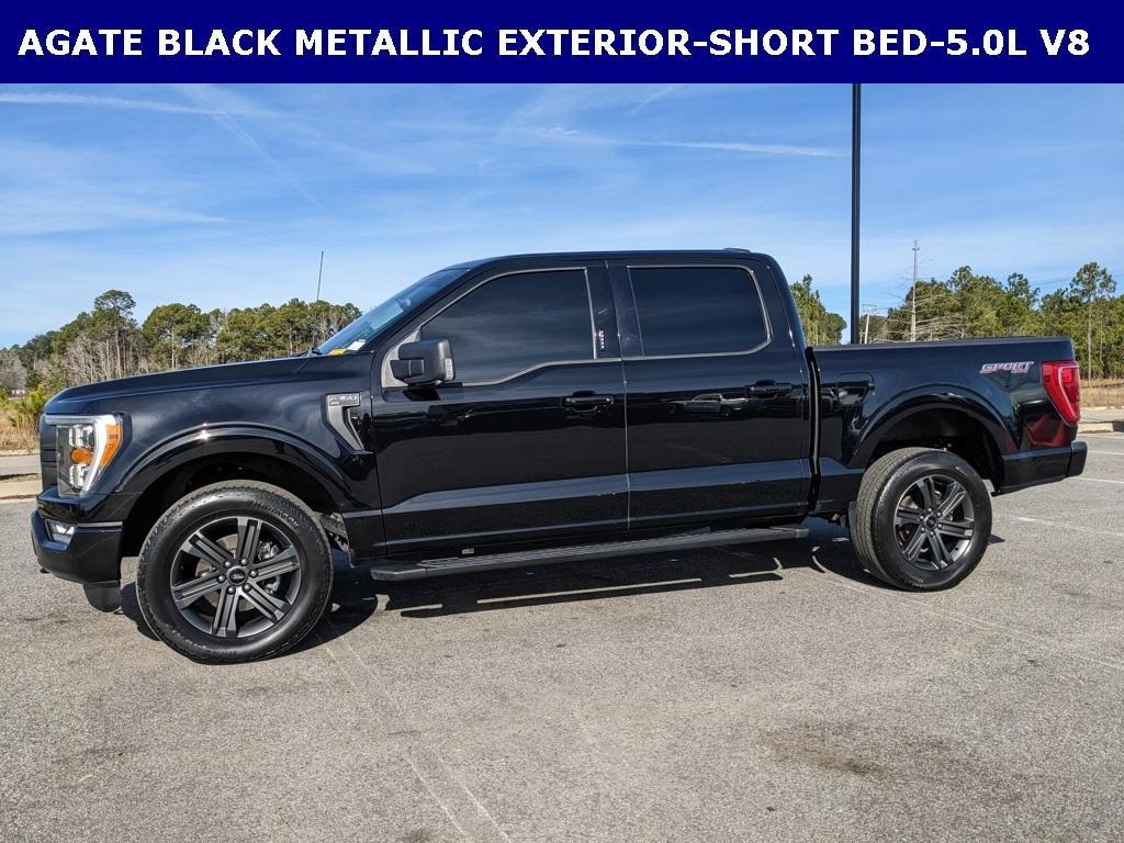 used 2023 Ford F-150 car, priced at $41,437