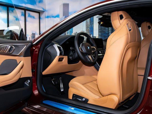 BMW 8 Series view 13