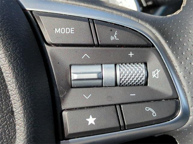 2025 Vik Black Genesis G70