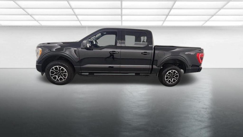 used 2023 Ford F-150 car, priced at $35,417