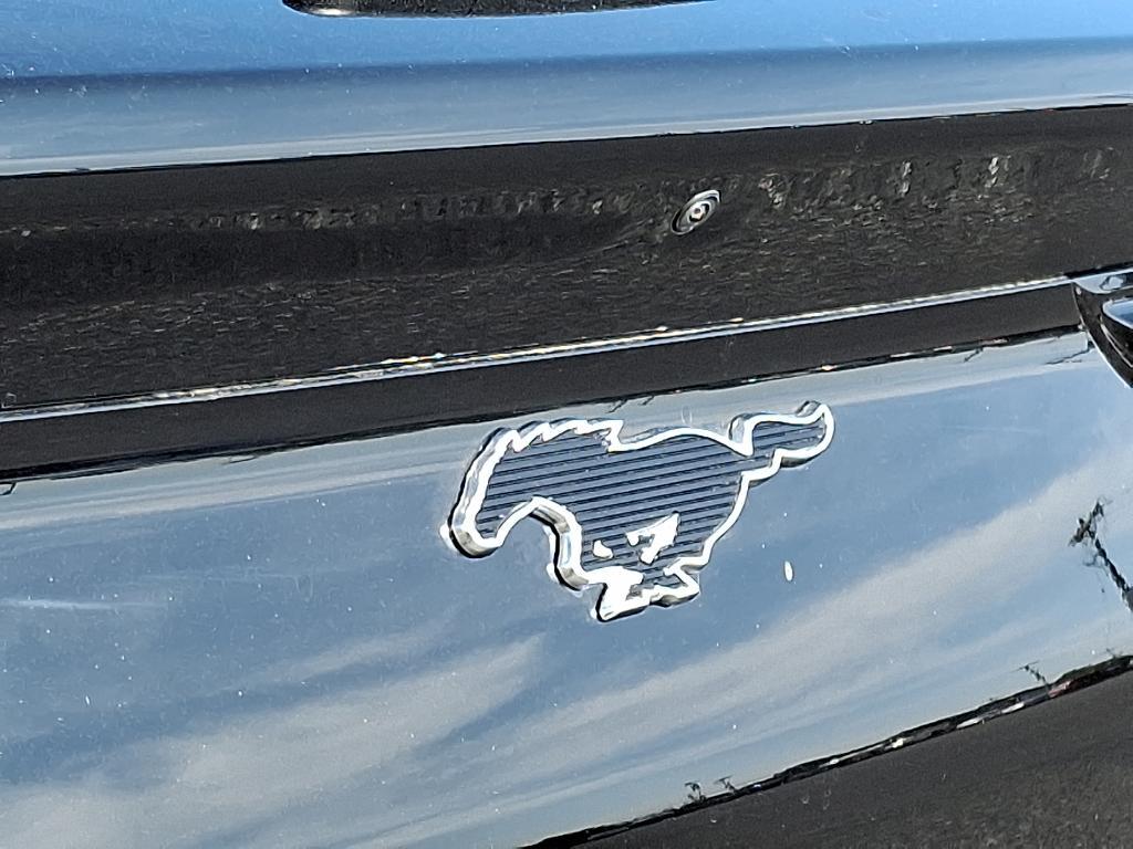 new 2025 Ford Mustang Mach-E car, priced at $52,035