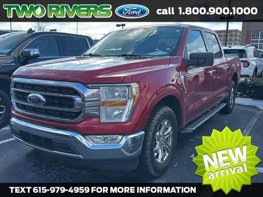 used 2021 Ford F-150 car
