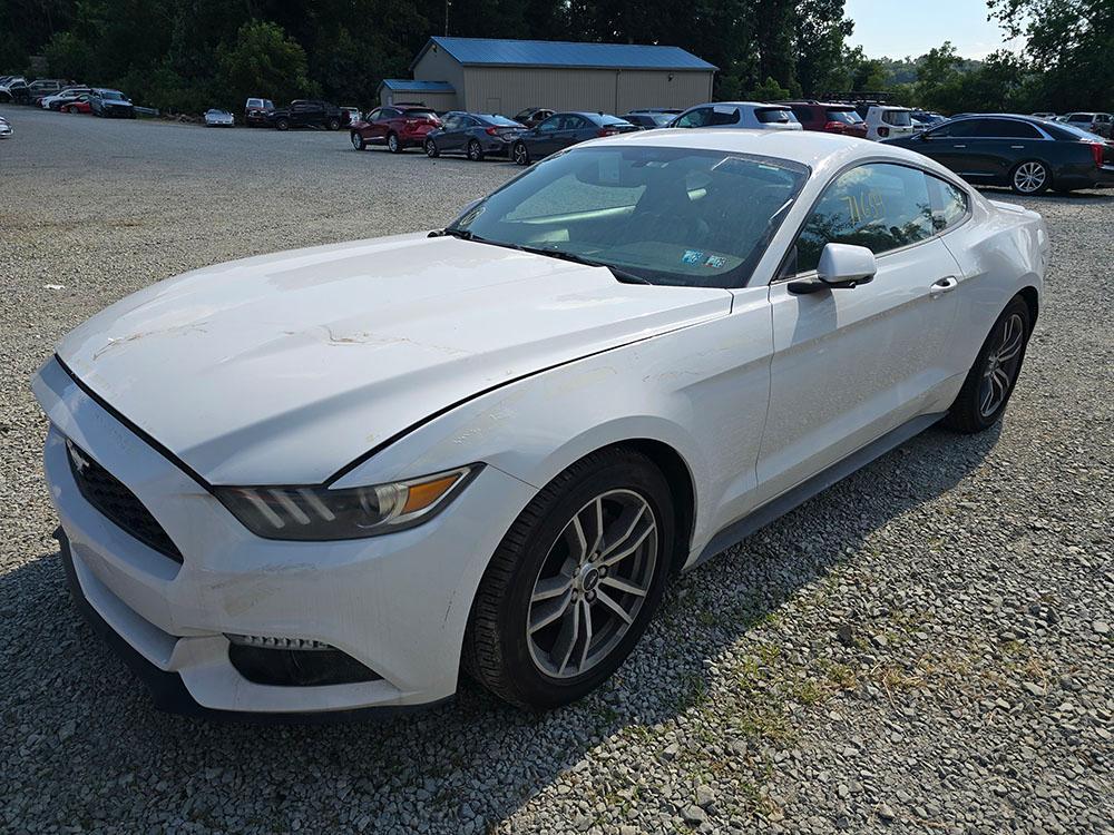 used 2016 Ford Mustang car