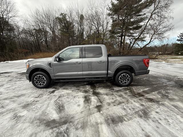used 2023 Ford F-150 car, priced at $35,499