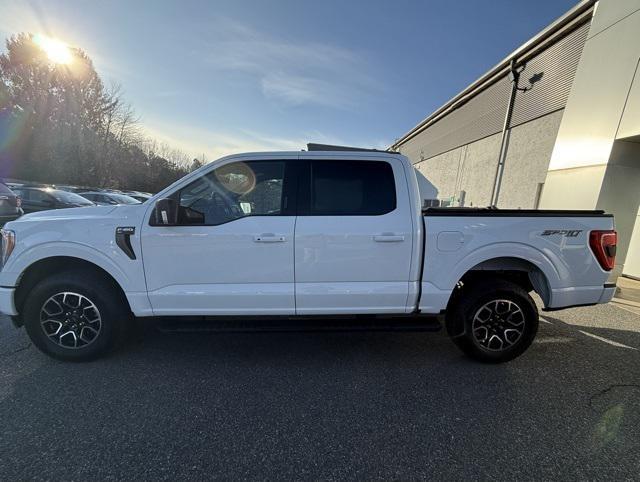 used 2023 Ford F-150 car, priced at $35,999