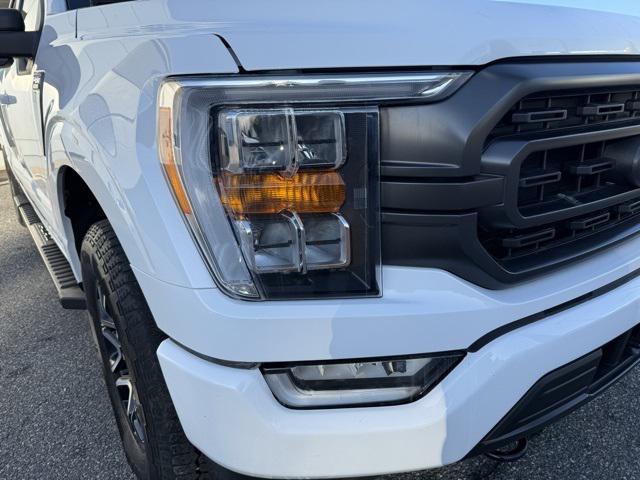 used 2023 Ford F-150 car, priced at $35,999