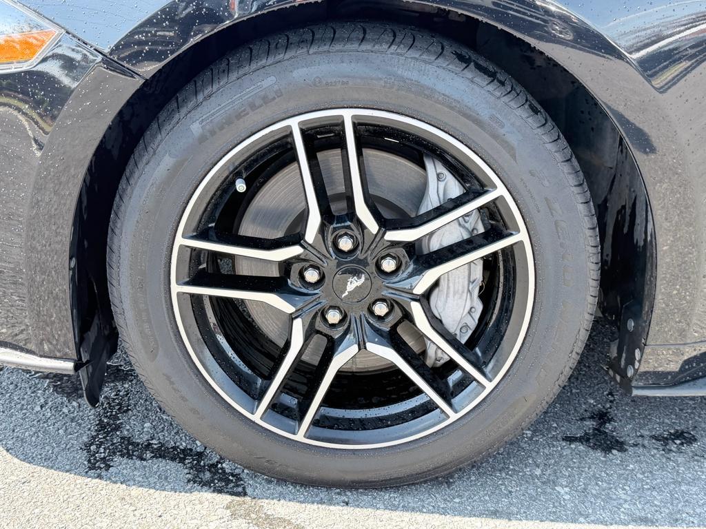 used 2021 Ford Mustang car, priced at $28,800