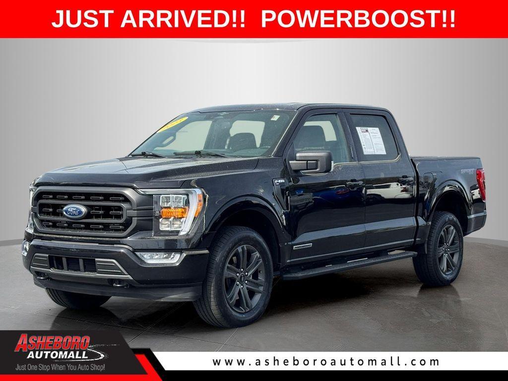 used 2023 Ford F-150 car, priced at $40,588
