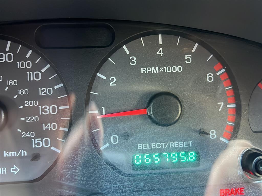 used 1999 Ford Mustang car, priced at $14,875