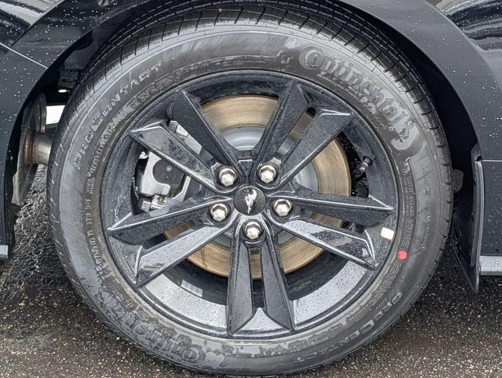 new 2026 Ford Mustang car, priced at $48,176