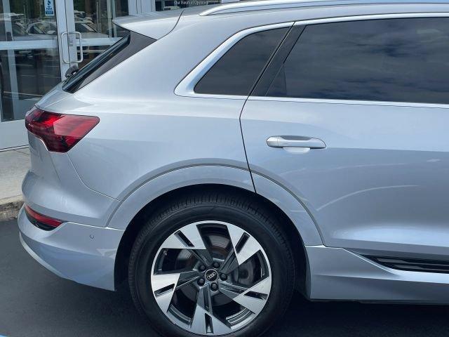 Audi e-tron view 20