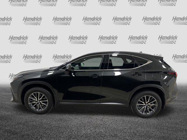 used 2025 Lexus NX 350 car, priced at $42,869