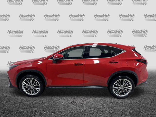 used 2025 Lexus NX 350h car, priced at $50,147