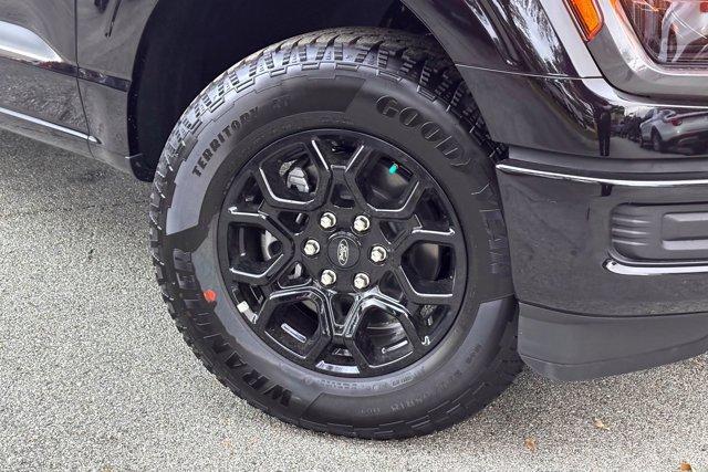 new 2025 Ford F-150 car, priced at $44,070