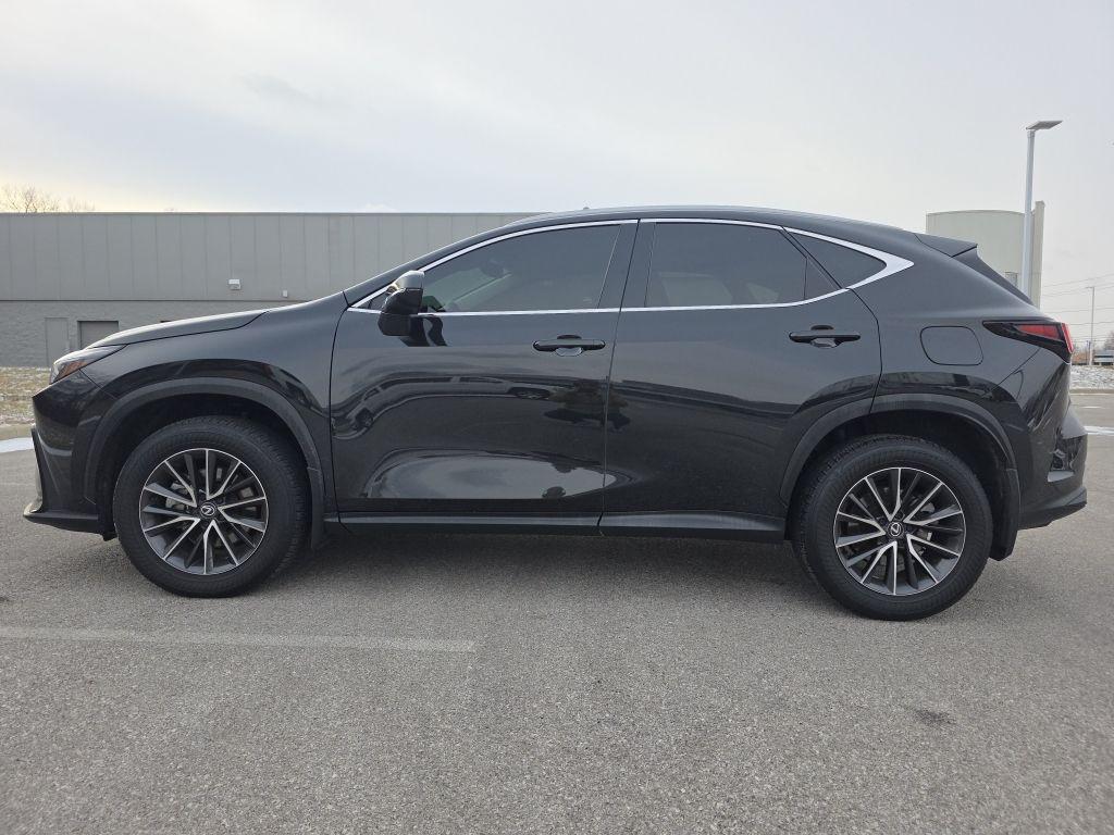 used 2024 Lexus NX 350 car, priced at $40,000
