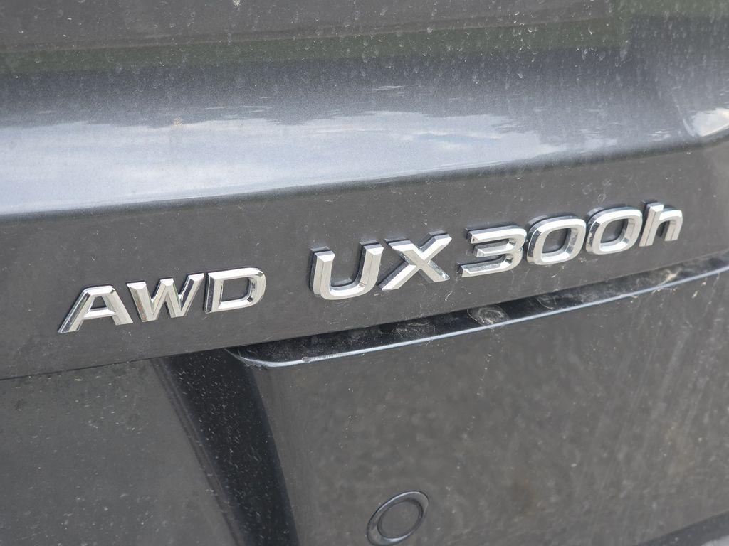 new 2026 Lexus UX 300h car, priced at $44,884