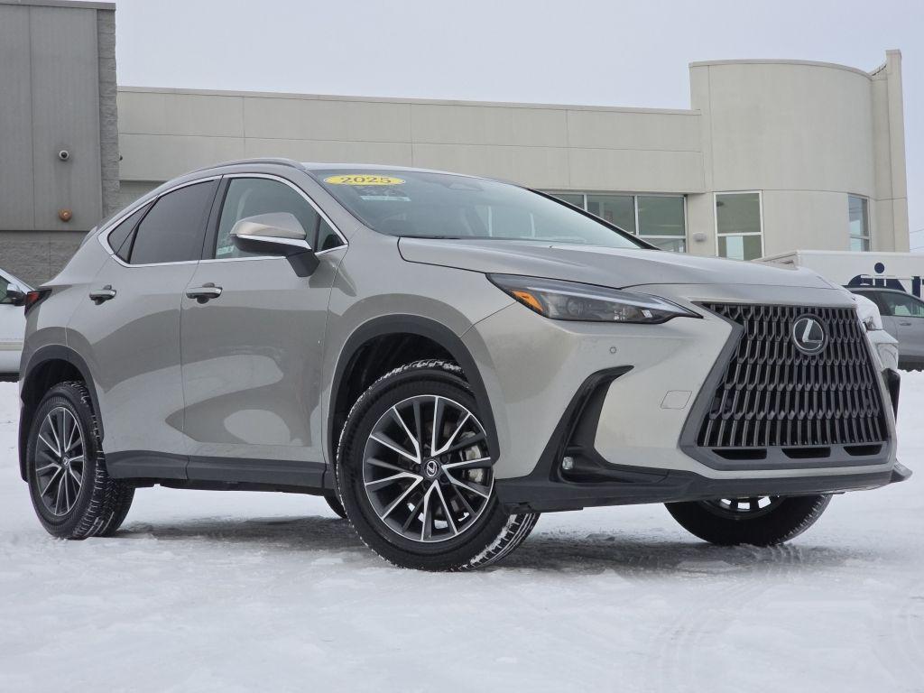 used 2025 Lexus NX 350 car, priced at $42,250