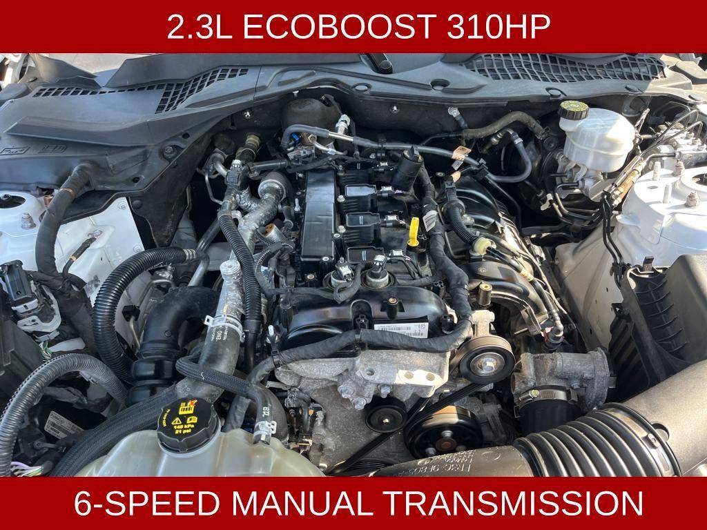 used 2022 Ford Mustang car, priced at $18,499