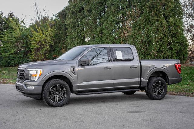 used 2021 Ford F-150 car, priced at $28,500