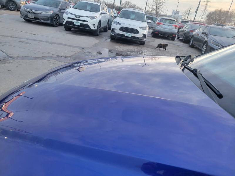 used 2023 Hyundai Elantra car, priced at $14,750