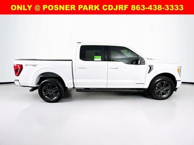 used 2023 Ford F-150 car, priced at $45,999