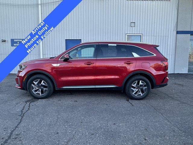 used 2022 Kia Sorento Hybrid car, priced at $22,956