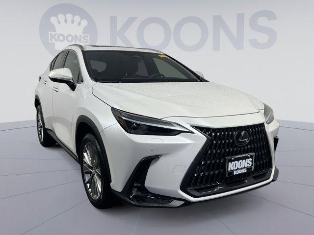 used 2023 Lexus NX 350 car, priced at $42,000