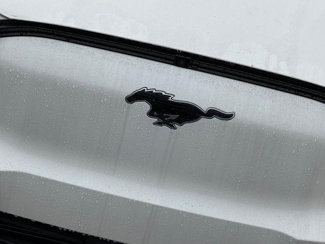 new 2026 Ford Mustang Mach-E car, priced at $49,205
