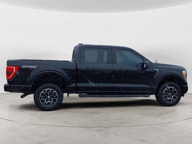 used 2023 Ford F-150 car, priced at $47,188
