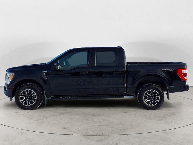 used 2023 Ford F-150 car, priced at $49,588