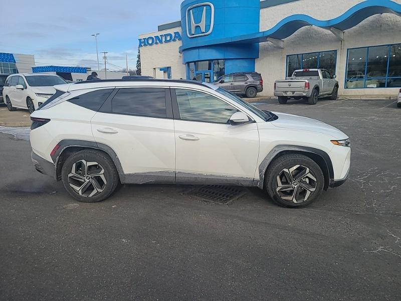 used 2023 Hyundai Tucson car, priced at $21,550